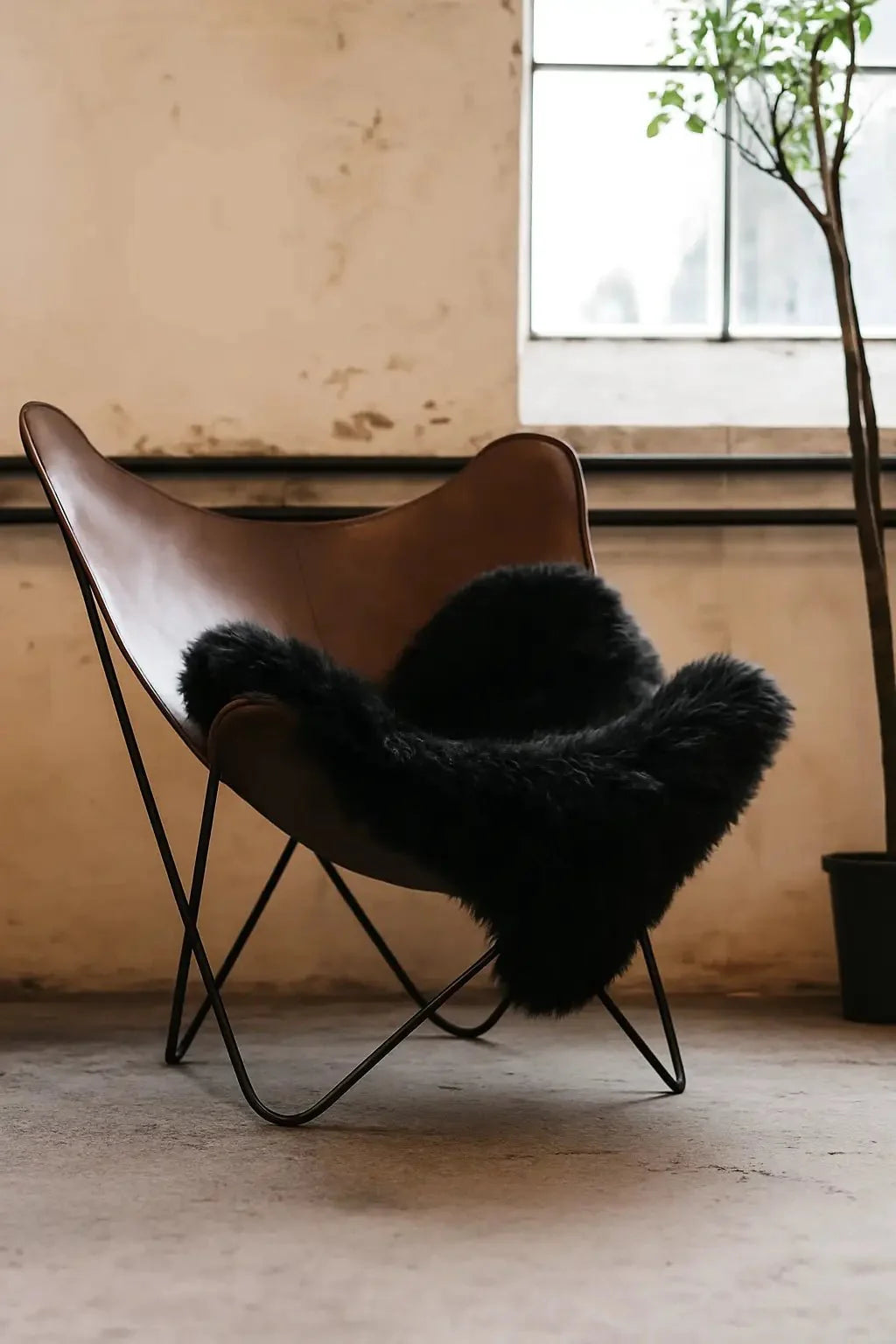 Lammeskind - Sort - The Cozy Sheep